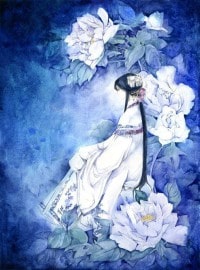 大佬的夫人有點狠