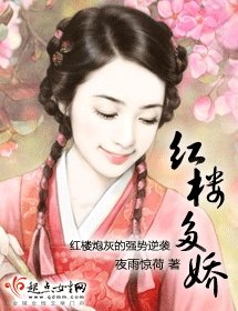 (红楼同人)红楼多娇