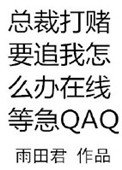 總裁打賭要追我怎麼辦在線等急