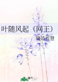 葉隨風起(網王)