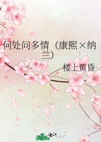 何处问多情(康熙×纳兰)