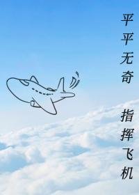 平平無奇,指揮飛機