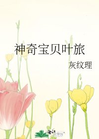 神奇宝贝叶旅
