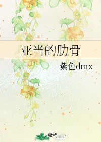 亚当的肋骨