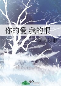 你的爱 我的恨